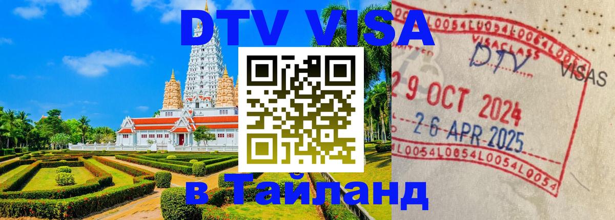 Сколько стоит DTV виза — актуальные цены, оформление даже без документов - 09.01.2026 